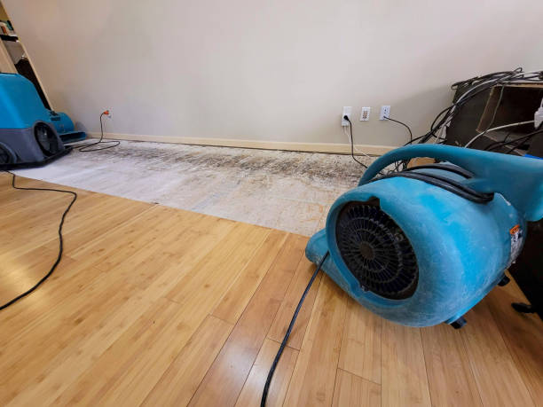 Professional Basement Flood Cleanup technician working in Garden City, GA